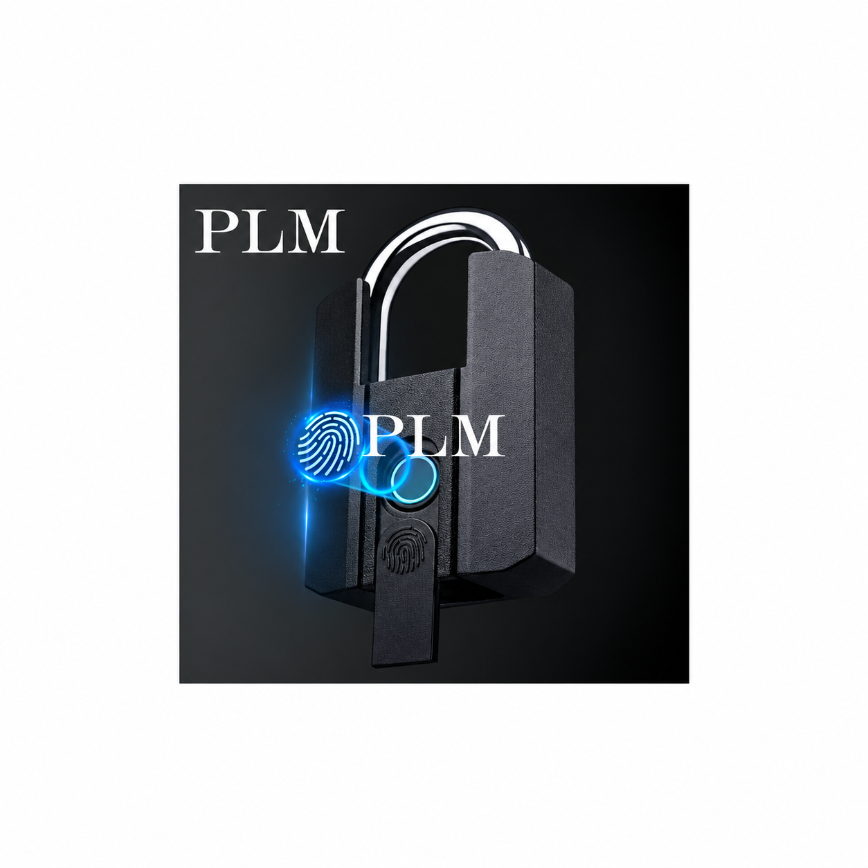 Finger Print Pad Lock